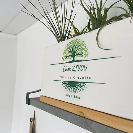 Chez Zivou Au Pied De La Apartament Mers-les-Bains